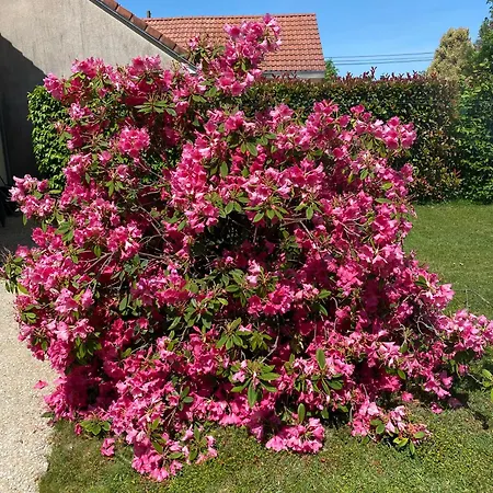 Le Petitepinay Et * Moitron-sur-Sarthe