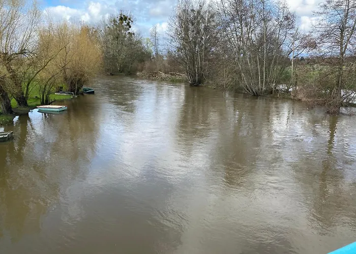 Le Petitepinay Et * Moitron-sur-Sarthe