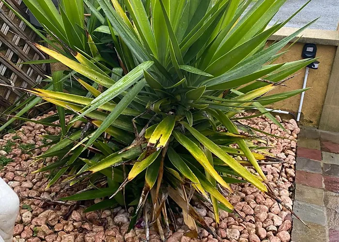 Le Petitepinay Et Panzió *