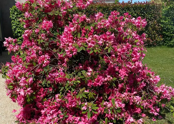 Le Petitepinay Et * Moitron-sur-Sarthe